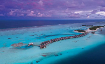 오젠라이프마두