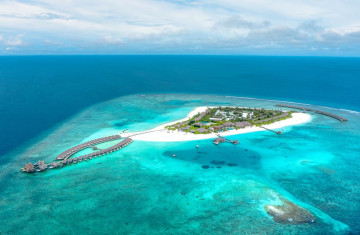 브레니아 코테파루